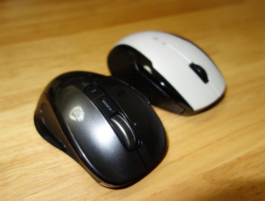 mouse